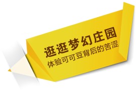 可可豆产地