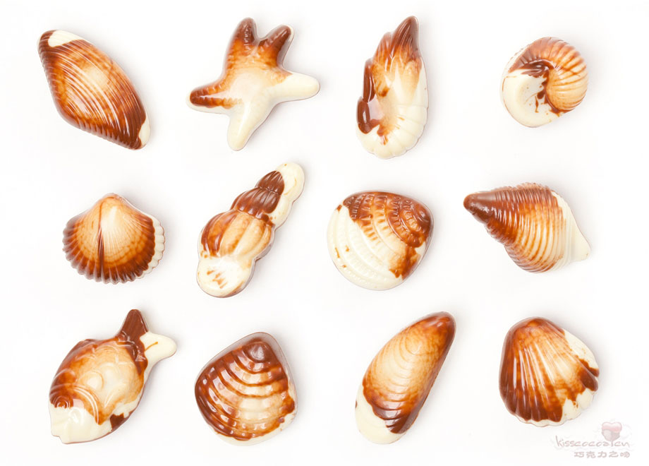 Chocolate Seashells 海贝巧克力2