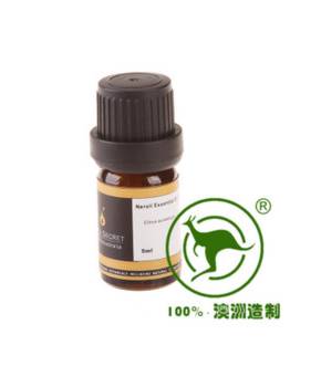 澳洲 杏桃仁油 澳洲 杏桃仁油